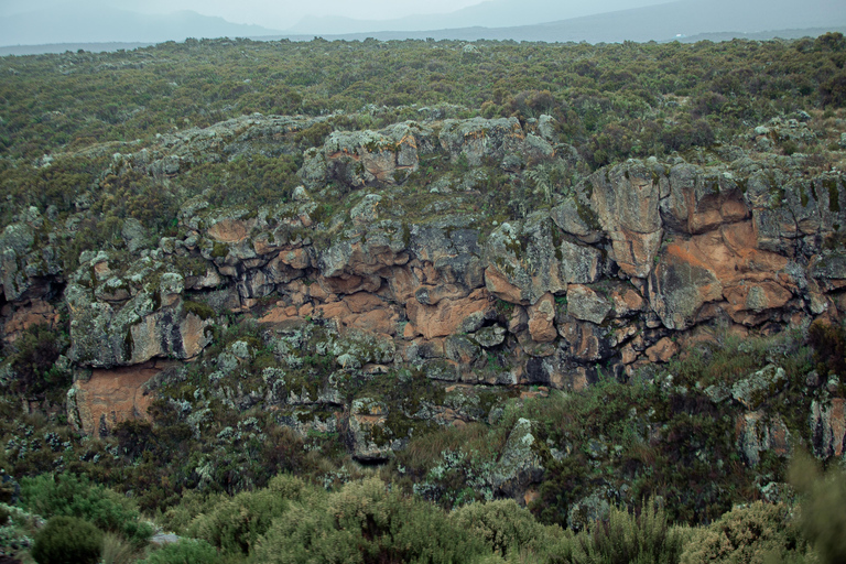 Moshi: Mount Kilimanjaro Day Trip – Marangu Route Day Hike