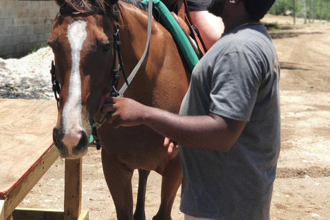 Westmoreland: ATV, Zipline, and Horseback Riding Tour