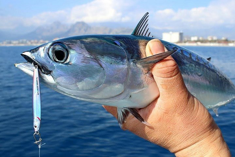 Side: Family Fishing Tour on the Mediterranean Sea