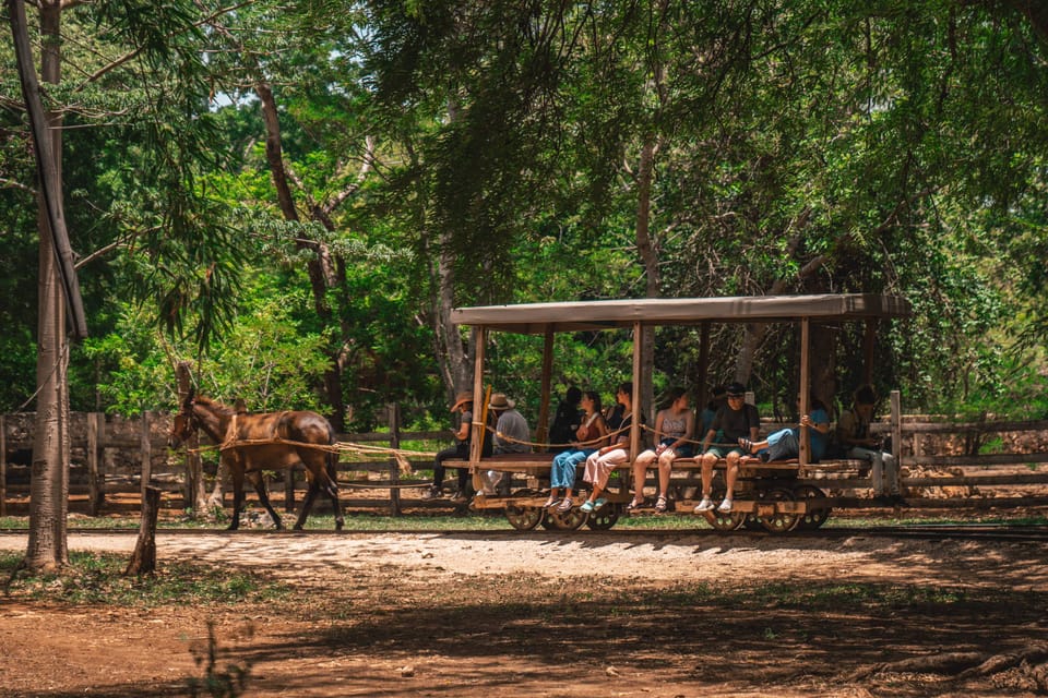 Merida Hacienda Sotuta De Peon Met Cenote Henequen Tour GetYourGuide