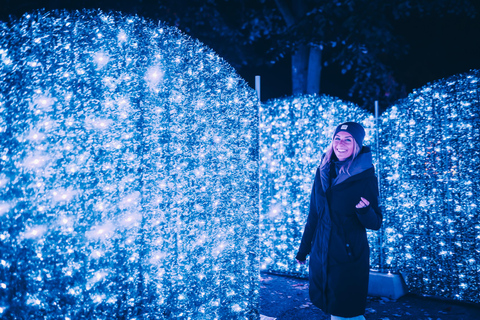 Budapest: biglietto d'ingresso per il Lumina Light Park Wonderworld