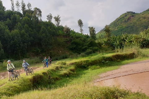 Rwanda: 8-Day Guided Cycling Tour of the Congo Nile Trail