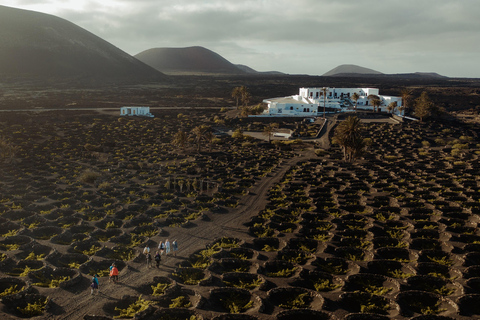 Lanzarote: Wycieczka po winnicy o zachodzie słońca z degustacją wina i czekolady