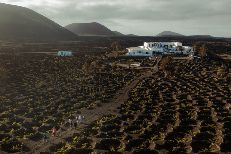 Lanzarote : visite des vignobles au coucher du soleil avec dégustation de vins et de chocolats