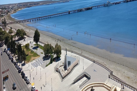 Puerto Madryn: Punta Loma Sea Lion Reserve Tour with Pickup