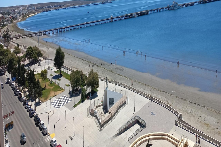 Puerto Madryn: Punta Loma Sea Lion Reserve Tour with Pickup