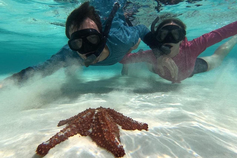 San Blas Islands Tour from Panama City: Visit 2 Islands San Blas: day trip to the islands + visit to the glass viewpoint in Panama