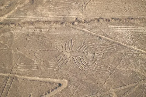 Desde Ica: Visita arqueológica a Nazca