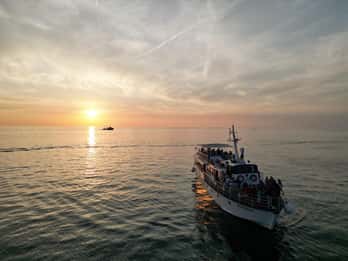 Poreč: Sunset Dolphin Safari with Dinner and Drinks