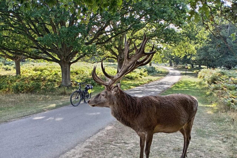 London to Windsor: The Right Royal E-Bike Extravaganza
