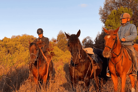 Franschhoek: Ganztagestour mit Reiten und Weinverkostung