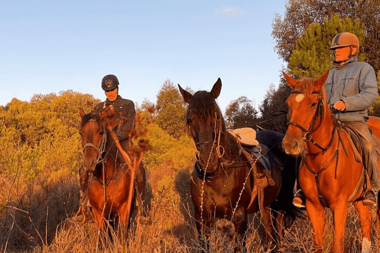 Franschhoek: Excursão de 1 dia a cavalo e degustação de vinhos