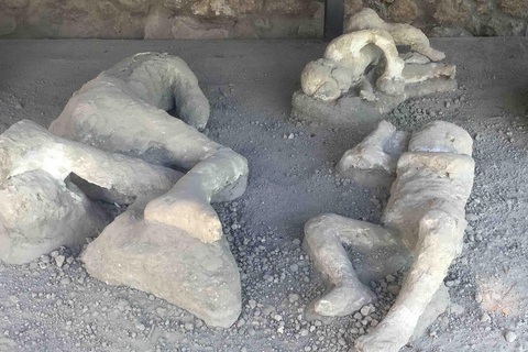 Pompeii: Group Guided Tour With Optional Tickets Tour without Tickets
