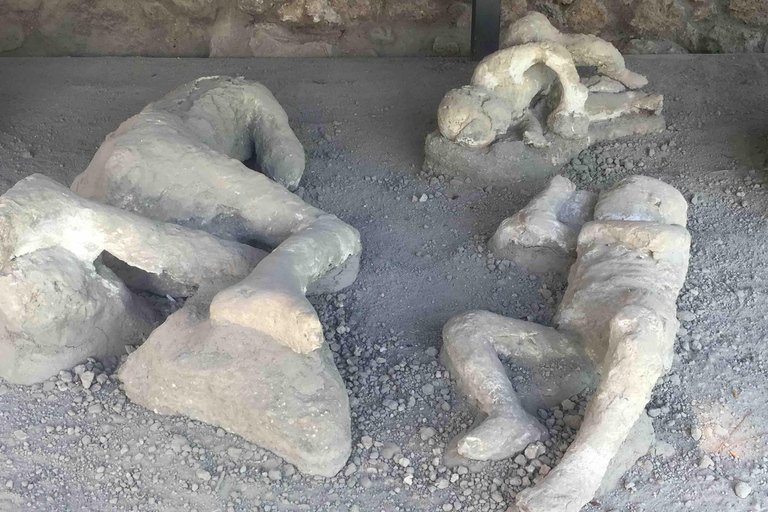 Pompeii: Group Guided Tour With Optional Tickets Tour without Tickets