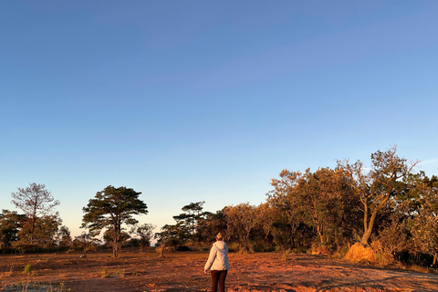 Dalat: Hiking the Mountain to observe the cloud and sunrise Da Lat: Hiking the Mountain to observe the cloud and sunrise