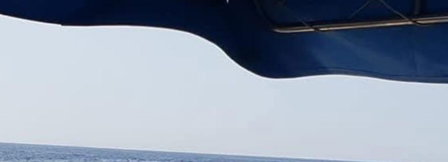 Excursion en tour en bateau pour observer les dauphins sur l'île de Molat, 6 heures