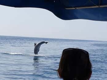 EXCURSIÓN DE UN DÍA EN LANCHA RÁPIDA POR ZADAR Y KORNATI