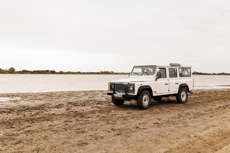 Aigues-Mortes 3H: Discover the secret Camargue in a 4x4 Full-Day