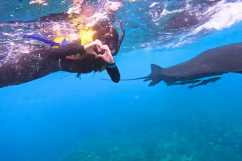 Nusa Penida & Nusa Lembongan Snorkeling + Island Day Tour