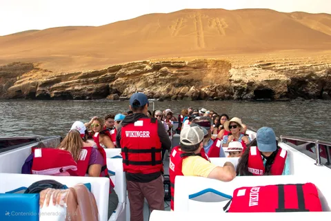 Paracas : Circuit des îles Ballestas en formule tout compris