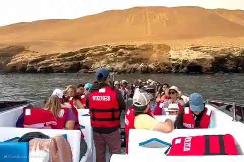 Paracas : Circuit des îles Ballestas en formule tout compris