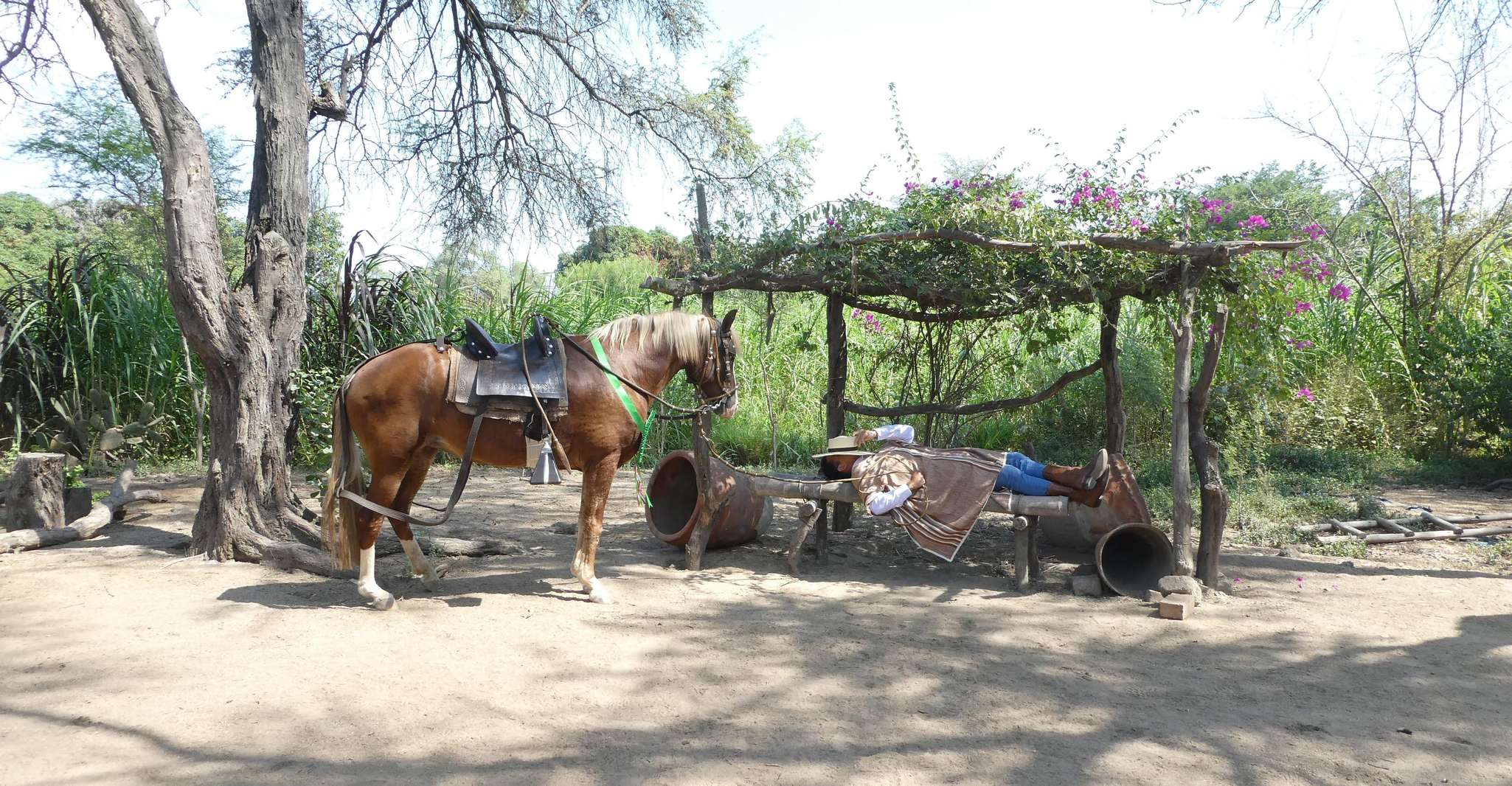 Peru,, 4 hours horseback riding and Ancient Pyramids - Housity