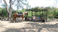 Pérou, 4 heures d'équitation et de pyramides anciennes - Housity