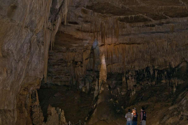 Från Amazonas: Karajía Sarcophagi och Quiocta Cavern