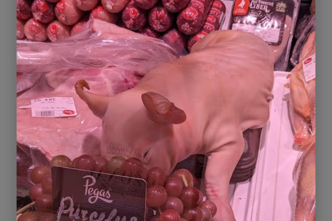 Chisinau: Private City Walking/shopping Tour