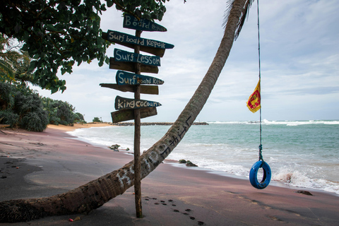 Colombo: Mirissa Day Trip with Scenic Coastal Train Ride Colombo: Mirissa Day Trip with Scenic Coastal Train Ride