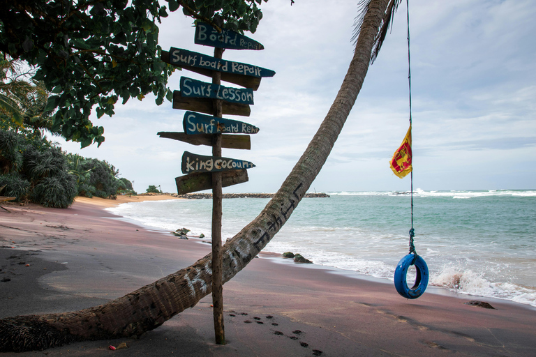 Colombo: Mirissa Day Trip with Scenic Coastal Train Ride Colombo: Mirissa Day Trip with Scenic Coastal Train Ride