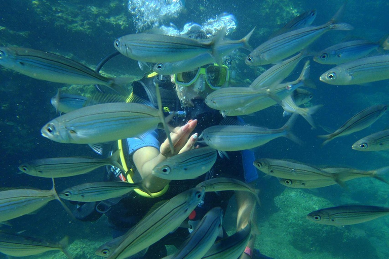 Marmaris: Full-Day Scuba Diving Trip with Lunch & Pickup Scuba Diving Experience (Meeting Point)