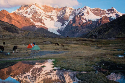 Desde Cusco: Excursión de Senderismo a las 7 Lagunas de AusangateDesde Cusco: Excursión de senderismo a las 7 lagunas del Ausangate