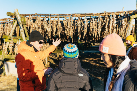 Ab Reykjavík: Fagradalsfjall-Vulkanwanderung & Blaue LaguneTour mit Hotelabholung