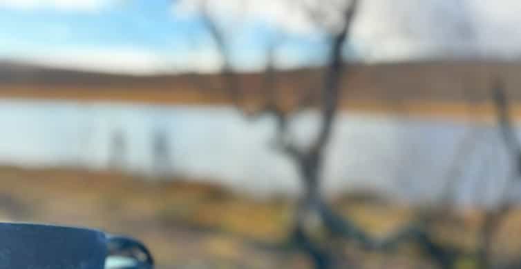 Galería de fotos para redes