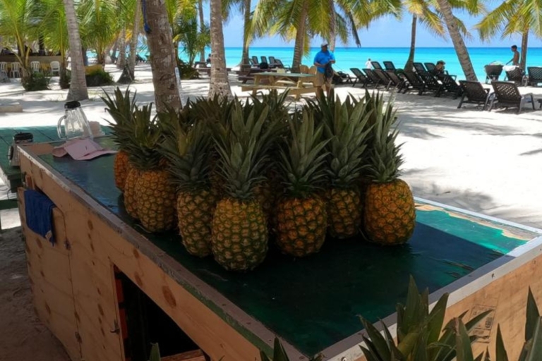 Isla Saona: Excursión en barco de día completo con bebidas y almuerzo buffet