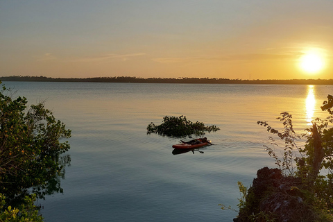 Zanzibar: Soulful SUP/kayak adventure in mangrove bay Soulful kayak ~ a peaceful adventure in unique mangrove bay
