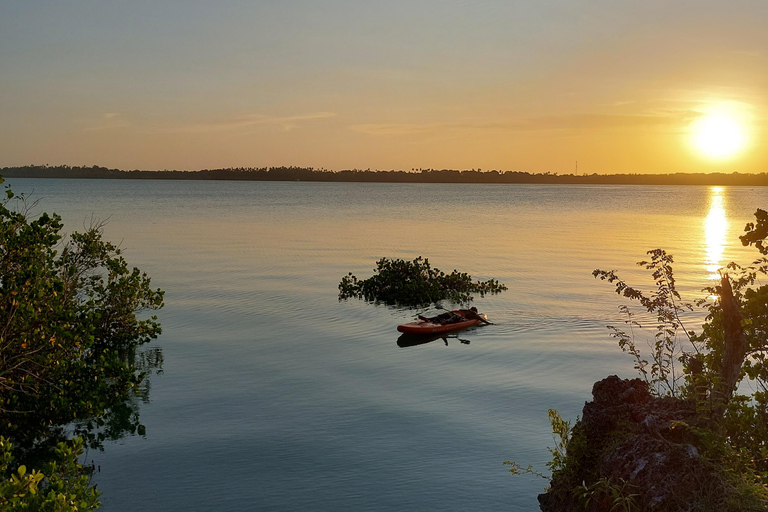 Zanzibar: Soulful SUP/kayak adventure in mangrove bay Soulful kayak ~ a peaceful adventure in unique mangrove bay