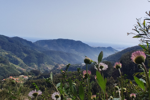 Halve dag Madeira Mistery Tour 4x4 - privé