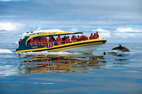 Von Port Arthur aus: Tasman Island Wilderness Cruise