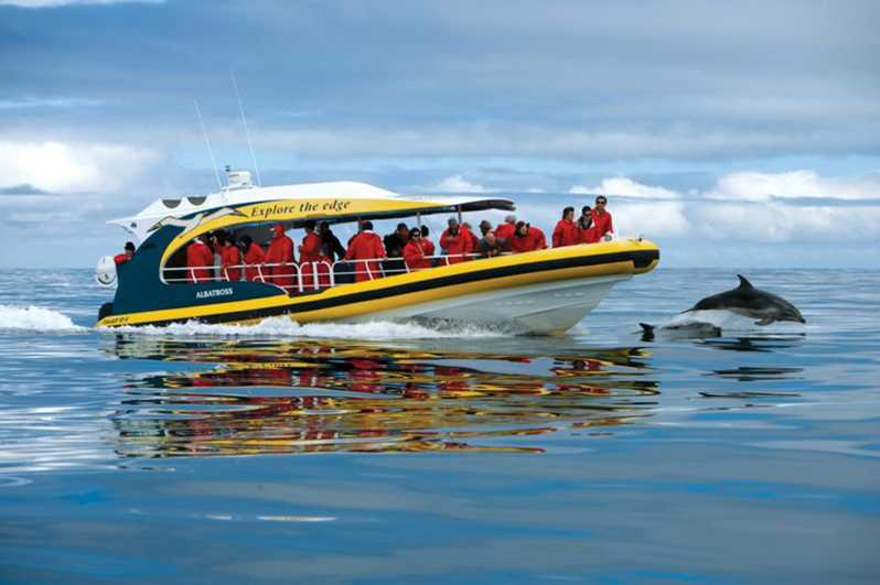From Port Arthur: Tasman Island Wilderness Cruise