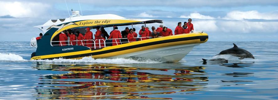 Tasman Island: 3-Hour Wilderness Cruise