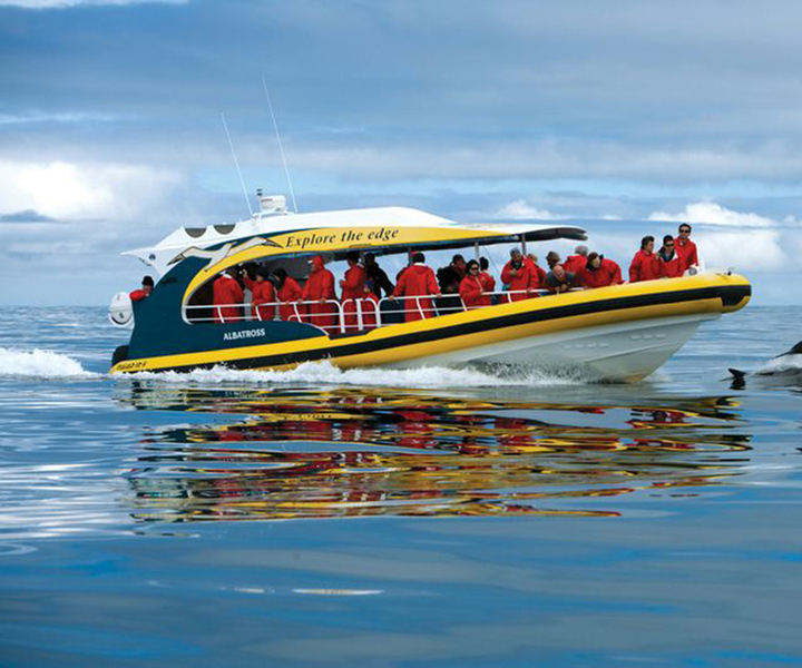 From Port Arthur: Tasman Island Wilderness Cruise
