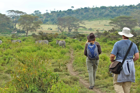 1 journée de randonnée au Mont Longonot depuis Nairobi