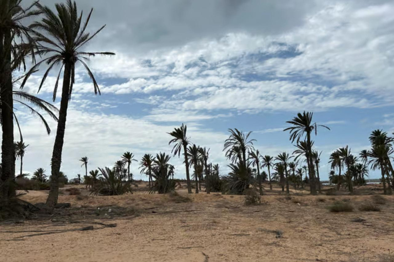 Djerba: Quad Bike Tour with 3 Routes to Choose From