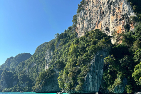 From PhiPhi: Half-Day Longtail Tour to Maya Bay & Snorkeling