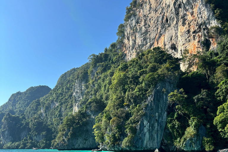 From PhiPhi: Half-Day Longtail Tour to Maya Bay & Snorkeling