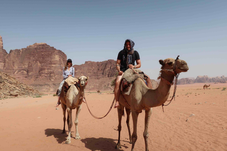 Doha: Desert Safari, Camel Ride, Dune Bashing & Inland Sea Sharing tour with hotel pickup and drop-off