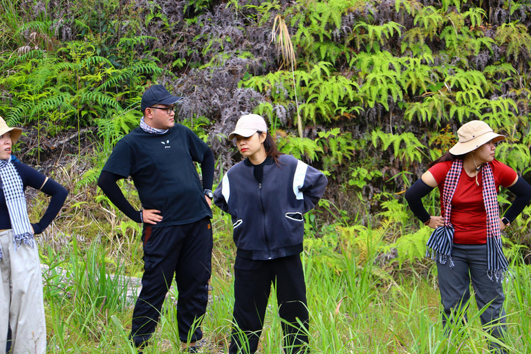 Ho Chi Minh City: Bidoup e Ta Giang Tour di trekking di 2 giorniHo Chi Minh City: tour di 2 giorni con trekking a Bidoup e Ta Giang