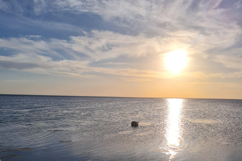 Authentic Djerba: Underground Oil Mill, Palm Grove, Pottery & Mosque